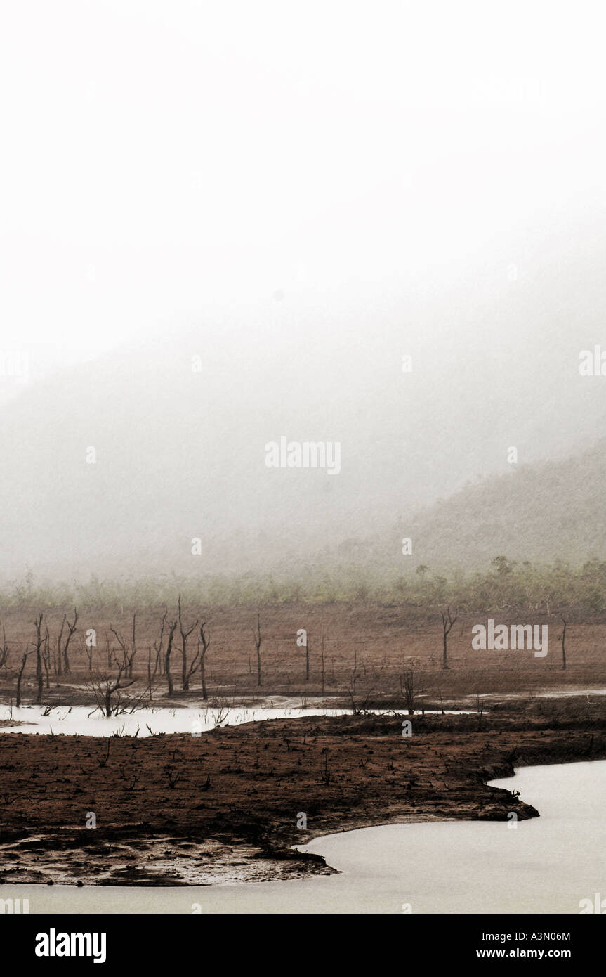 Parc de la riviere bleue Stock Photo Alamy