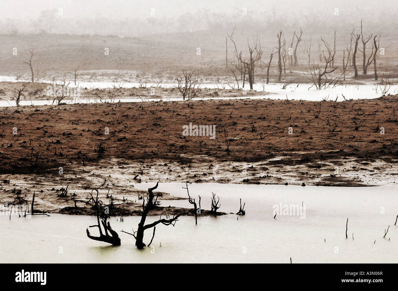 Parc de la riviere bleue Stock Photo Alamy