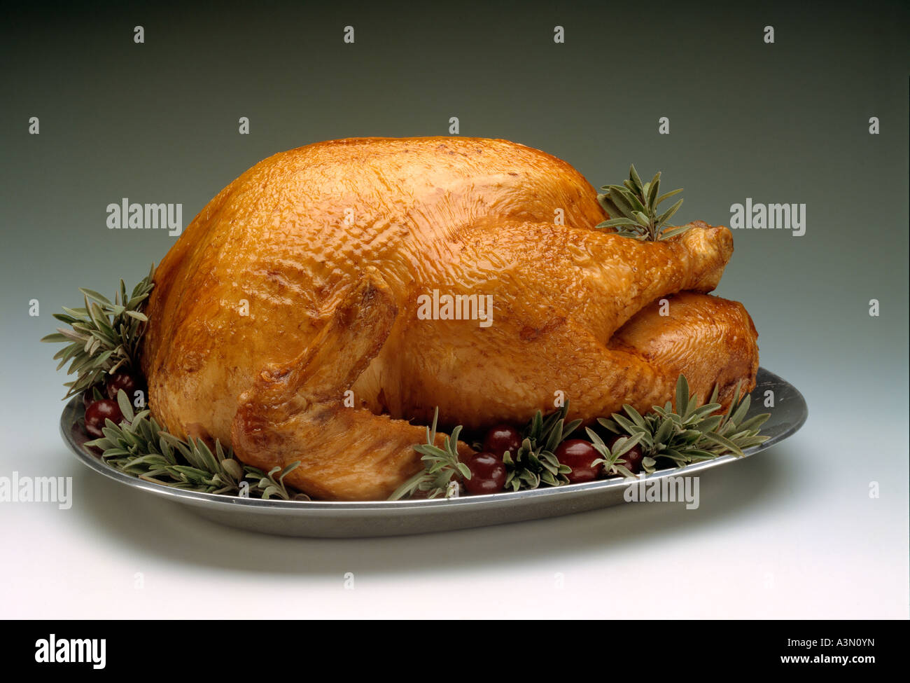 Whole Turkey Pweter Platter W Garnish Holiday Thanskgiving Christmas Stock Image Whole Turkey Pweter Platter W Garnish Holiday Thanskgiving Christmas Stock Image
