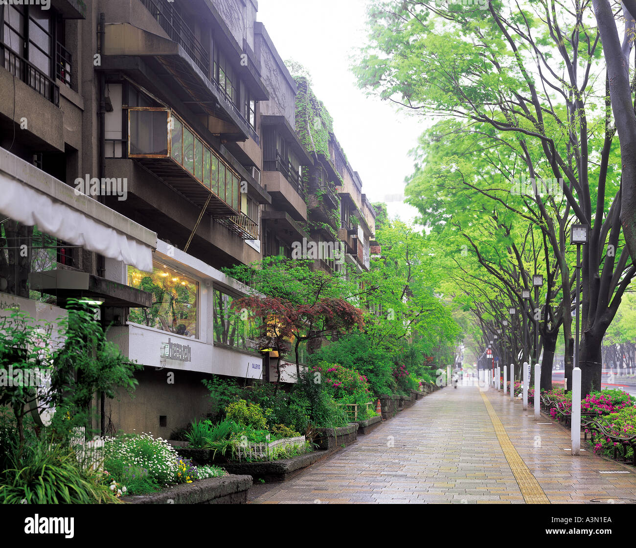 Building Street Trees Shops Stock Photo Alamy