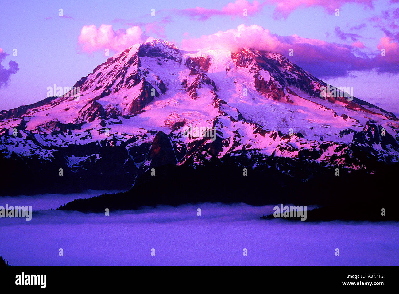 Evening alpenglow on mt rainier hires stock photography and images Alamy
