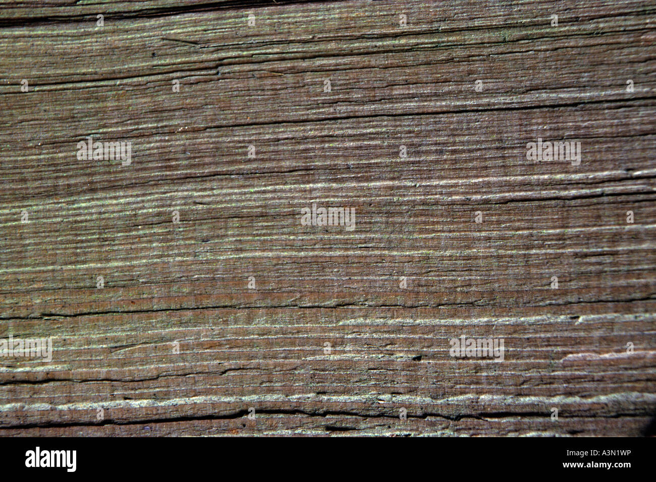split cedar wood grain Stock Photo Alamy