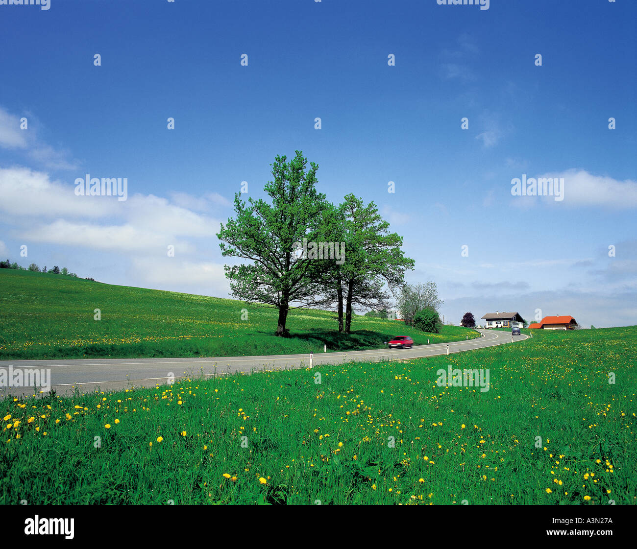 Road Landscapes Nature Cars Trees Flowers Sky Building Fields Houses Dandelions Stock Photo