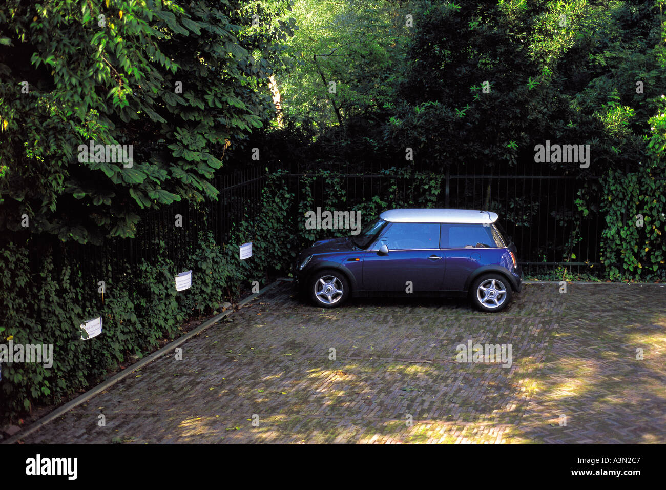 Shadow tree trees cars hi-res stock photography and images - Alamy