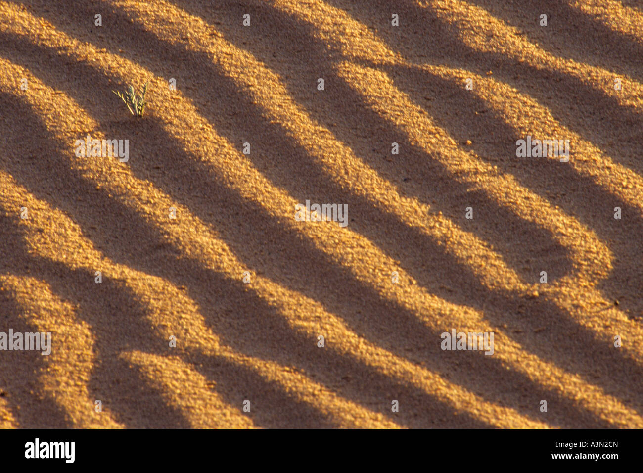 Utah Ripples Ripple wire hi-res stock photography and images - Alamy