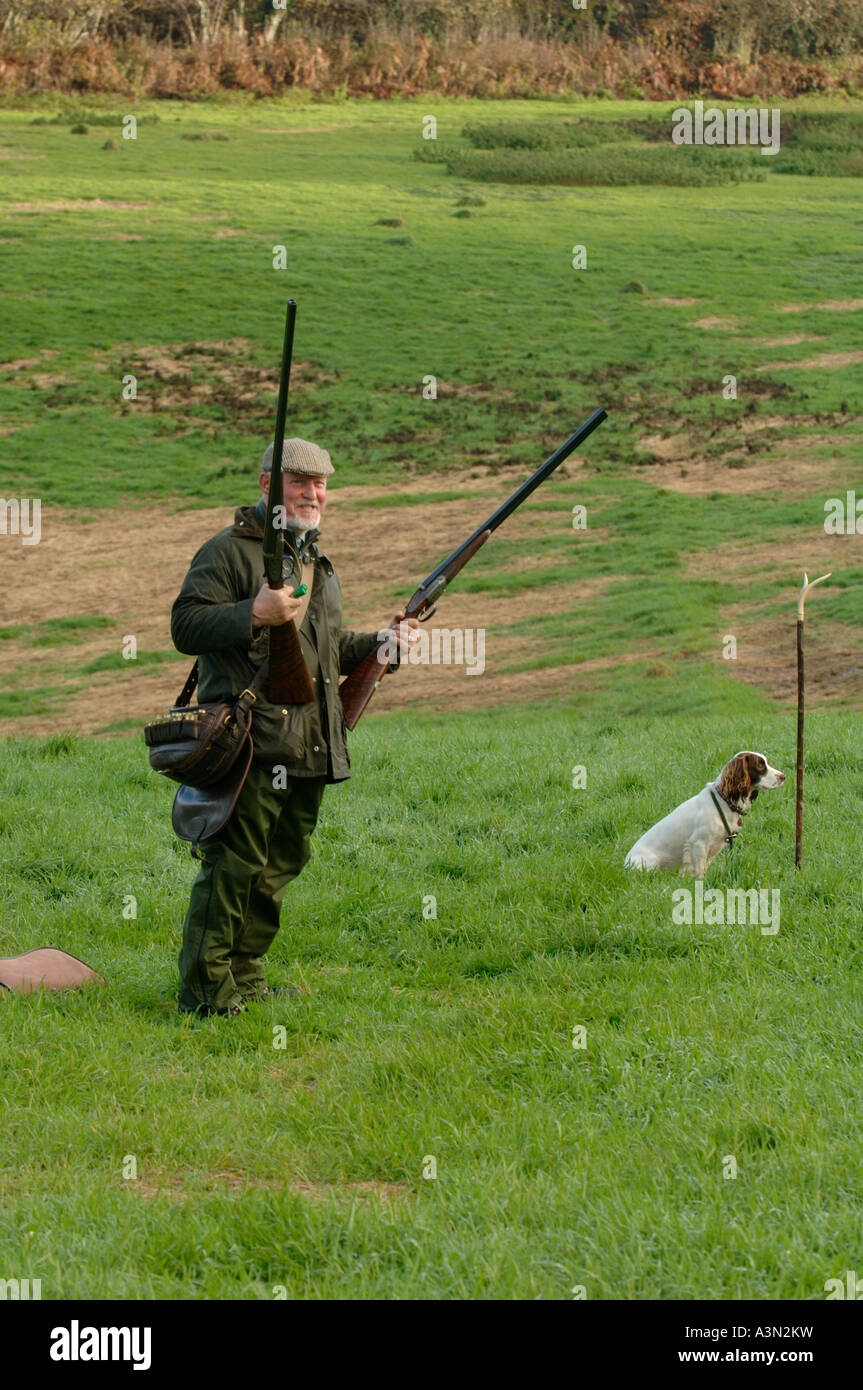 gun shooting pheasant Stock Photo Alamy