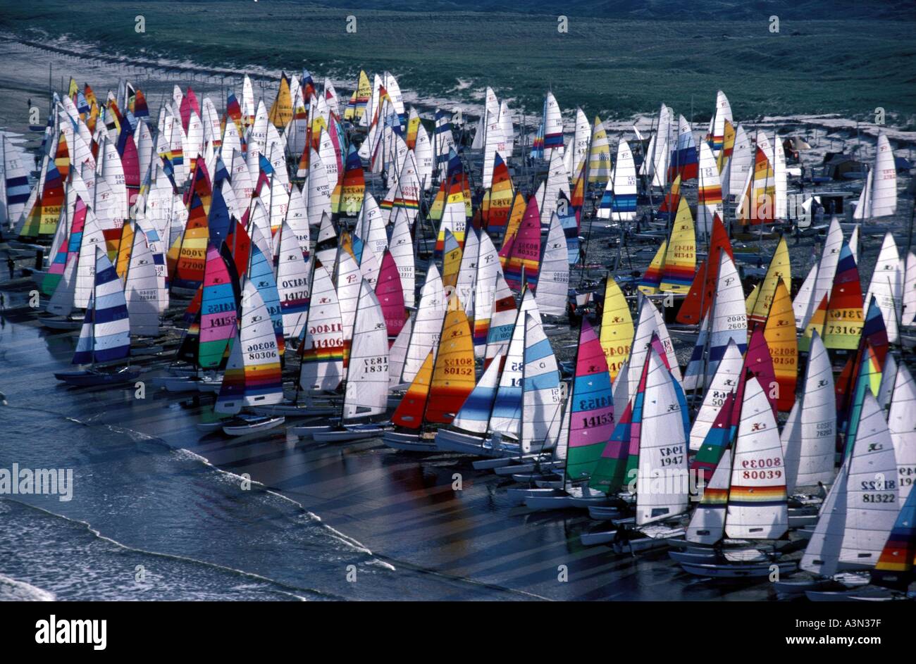 Hobie catamaran Dinghy race Stock Photo - Alamy