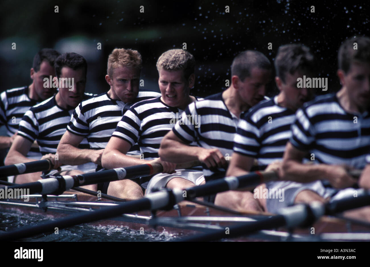 Crew of rowing eight at Royal Henley Regatta UK Stock Photo Alamy