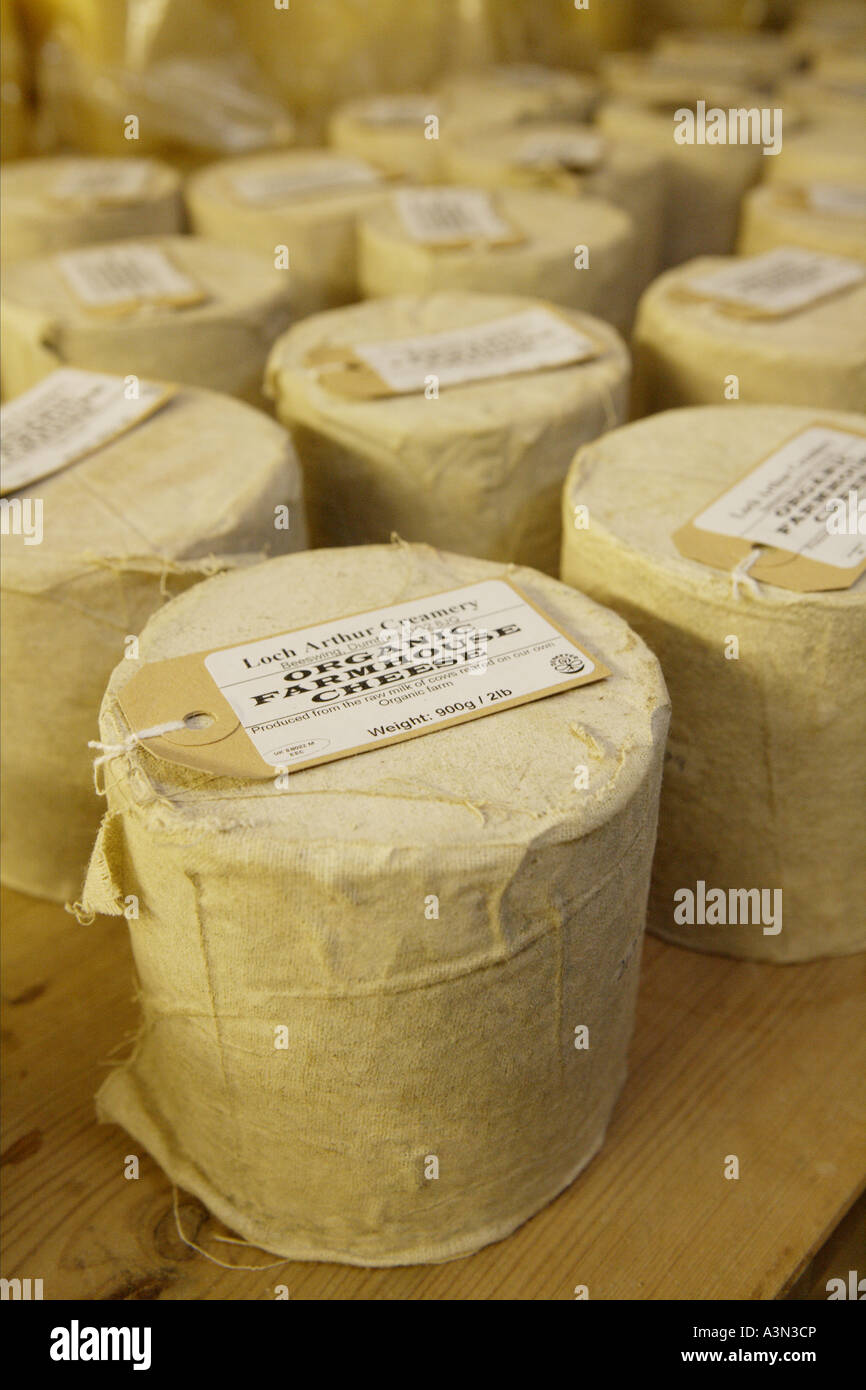 Maturing organic farm house cheese made at Loch Arthur Community