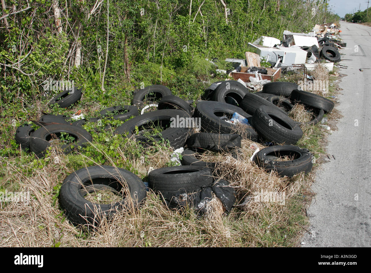 Miami Florida,Homestead,illegal dumping site,roadside,tires,appliances,trash,pollution,litter,trash,pollution,clutter,trash,FL060130443 Stock Photo