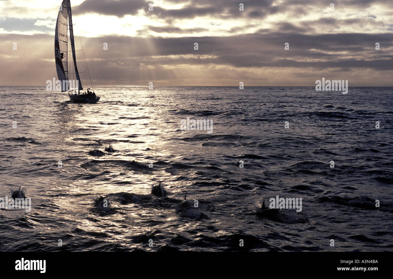 Sailing Yacht On Calm Sea At Sunset Stock Photo - Alamy