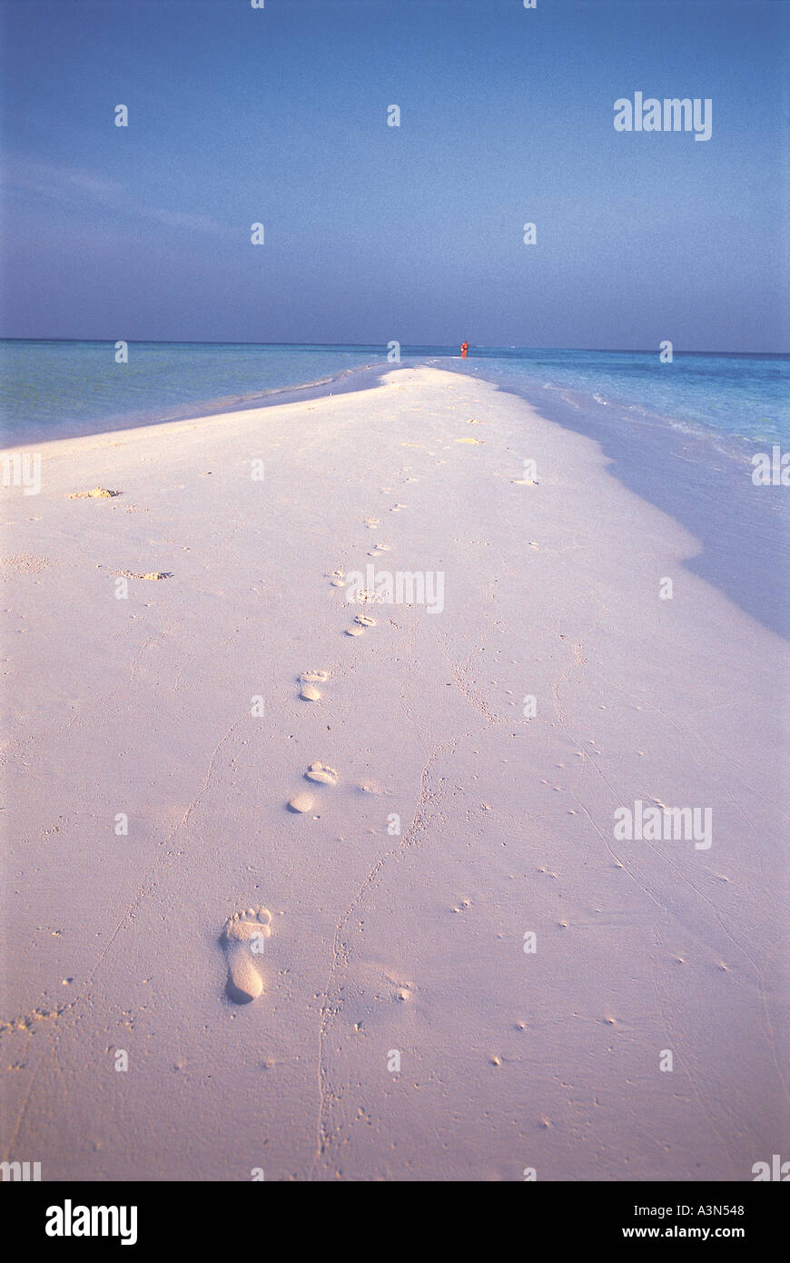 Nature Sky Tropical Tracks Footprints Stock Photo