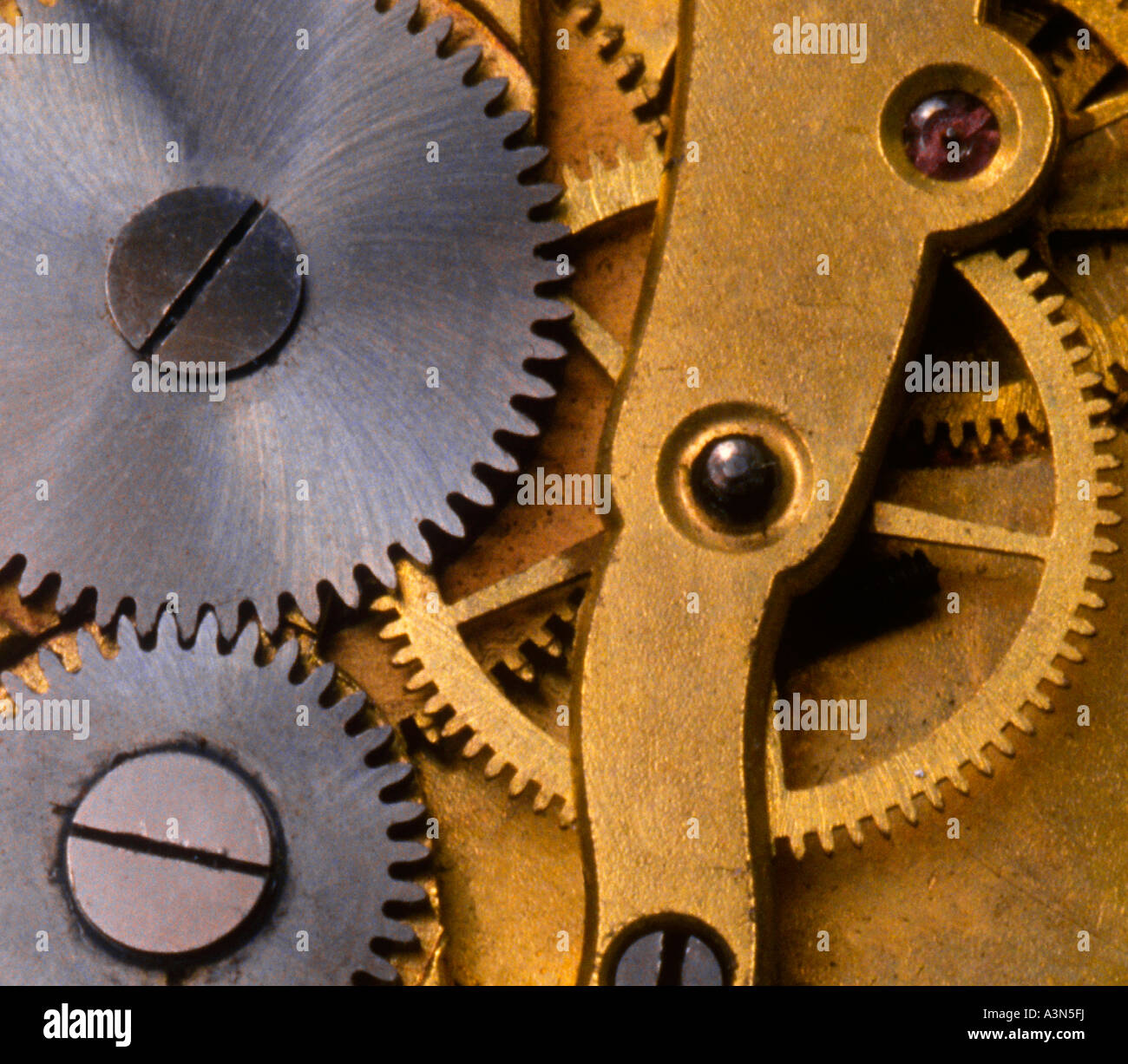 Watch interior mechanical gears and cogs. Details close up of working