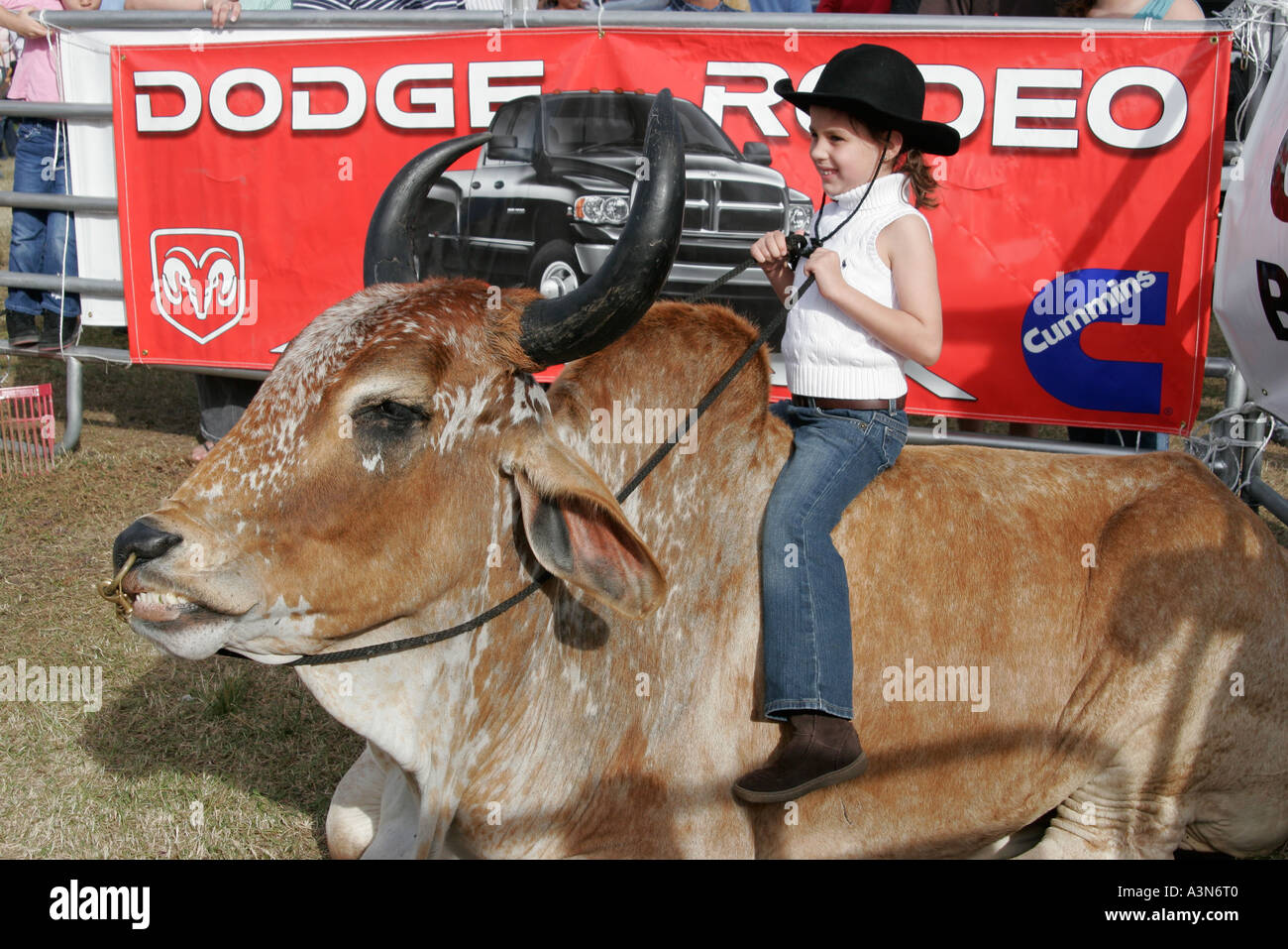 amateur rodeo saddle cow riding