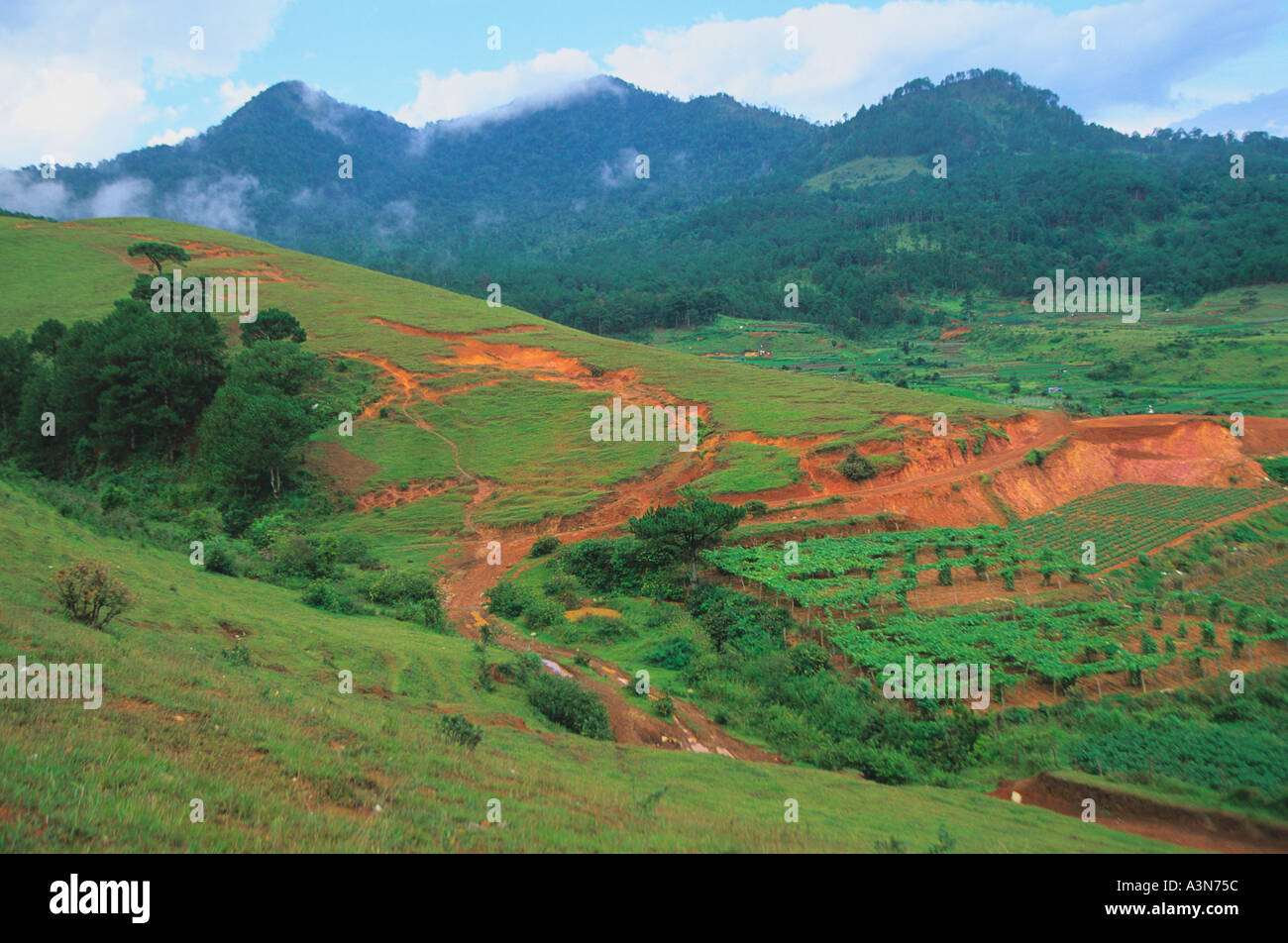 Volcanic landscape red soil hi-res stock photography and images - Alamy