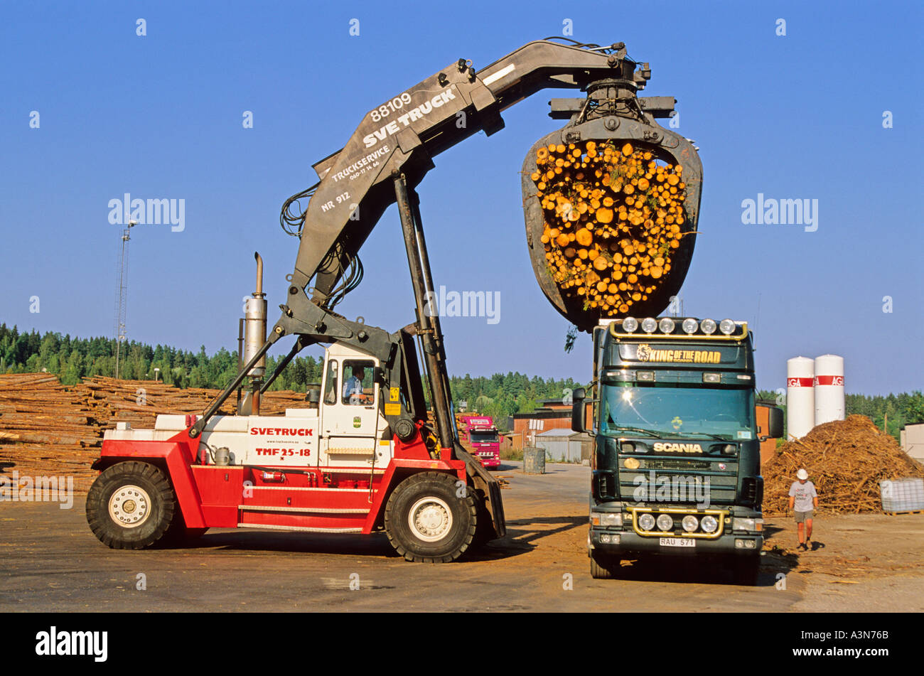 Loading harvested plantation Norway spruce timber on to truck at Stock Photo: 2004842 ...