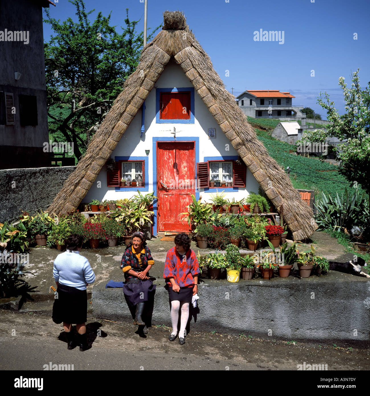 THREE WOMEN IN FRONT OF A  PALHEIRO  TRADITIONAL THATCHED HOUSE  SANTANA  VILLAGE  MADEIRA  ISLAND PORTUGAL EUROPE Stock Photo