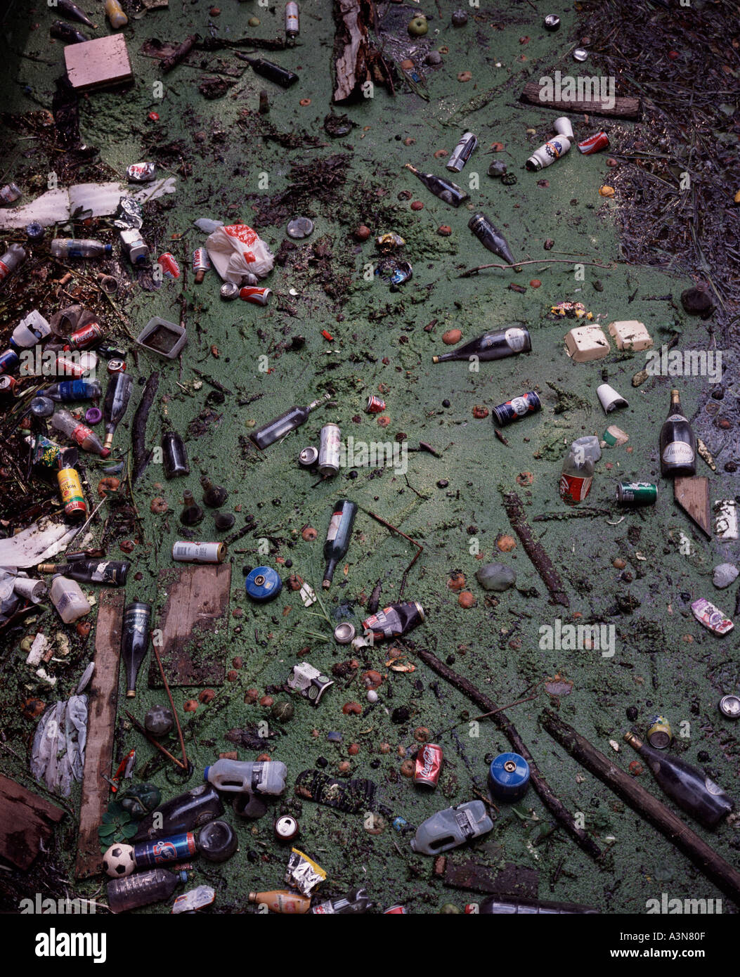 Rubbish collecting on River Avon Bath, UK Stock Photo Alamy