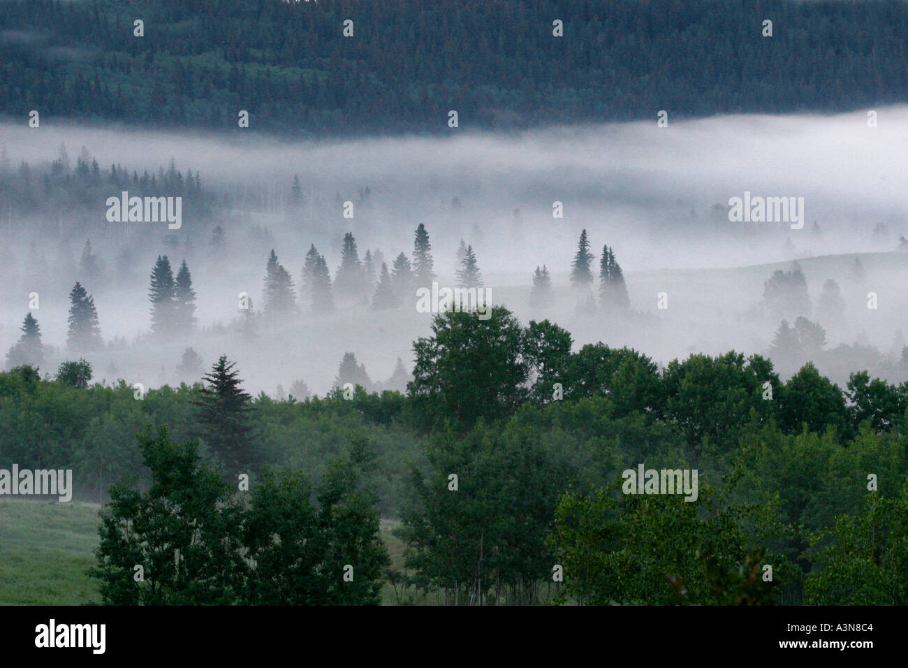 Horizontal     Foggy day Stock Photo