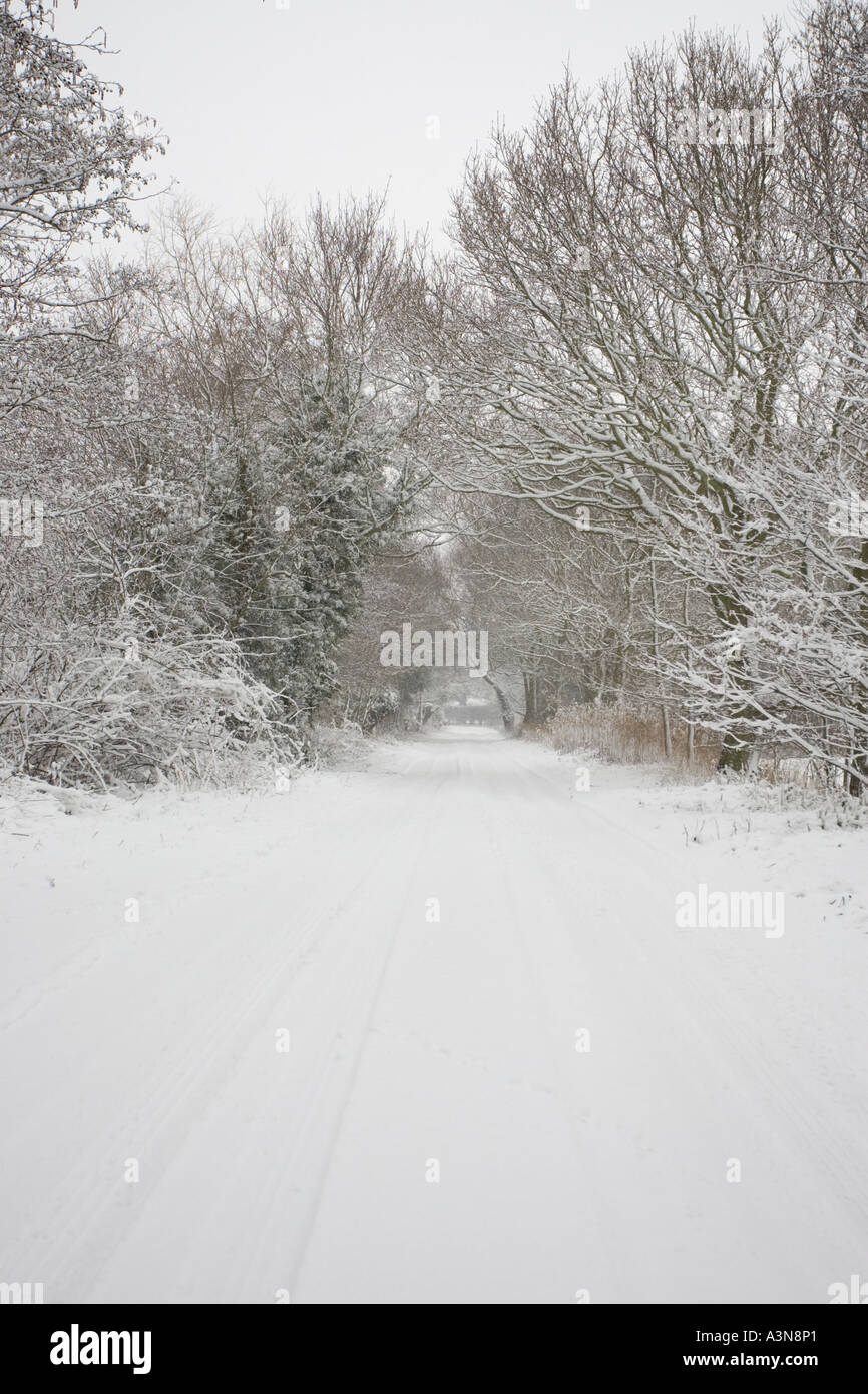 Country Road Covered With Snow Norfolk Uk Stock Photo Alamy Country Road Covered With Snow Norfolk Uk Stock Photo Alamy