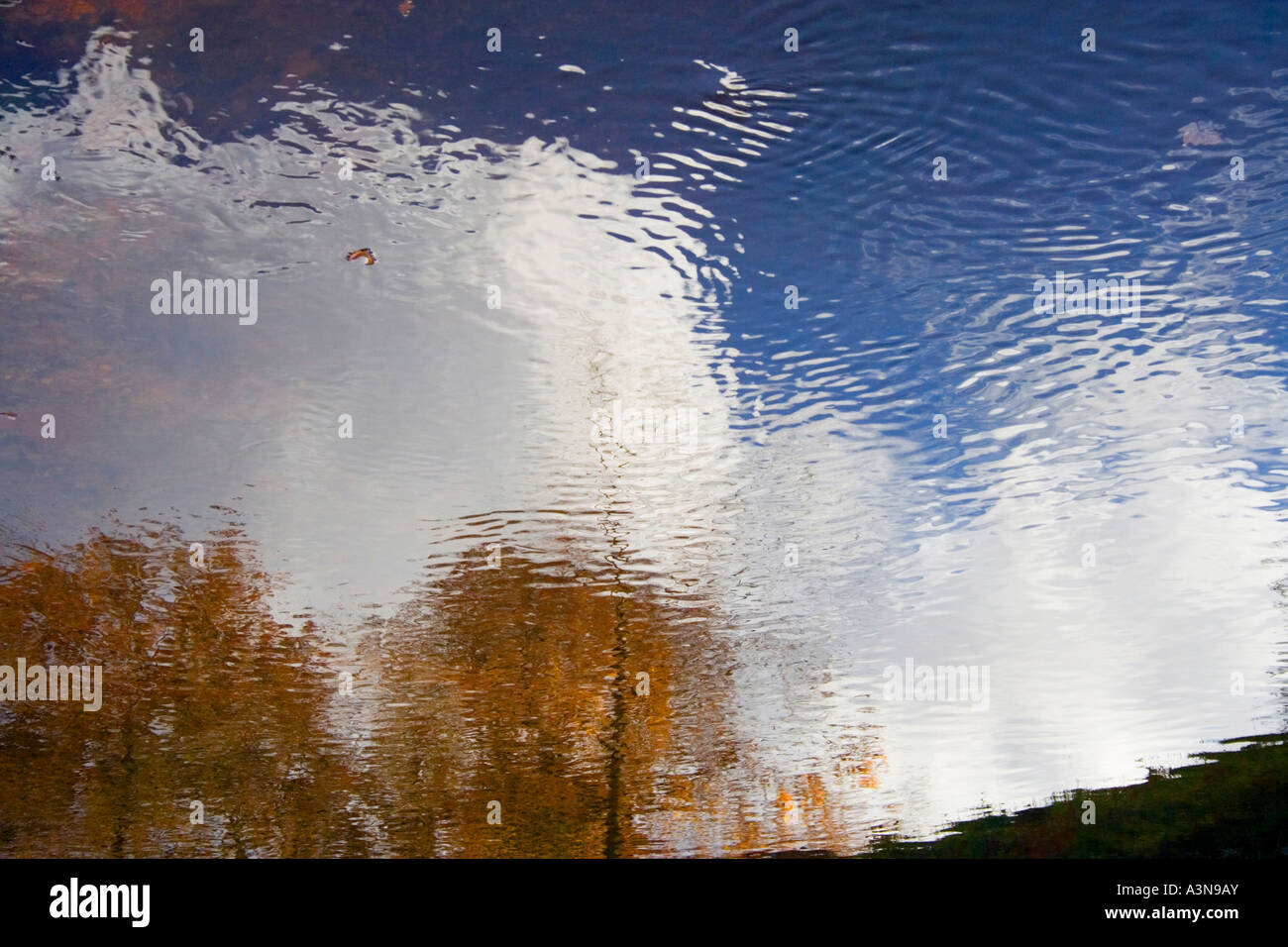 Trees and blue sky reflected in water hi-res stock photography and ...