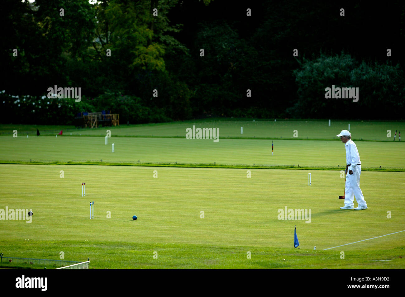 Croquet Players at the Hurlingham Club London Stock Photo Alamy