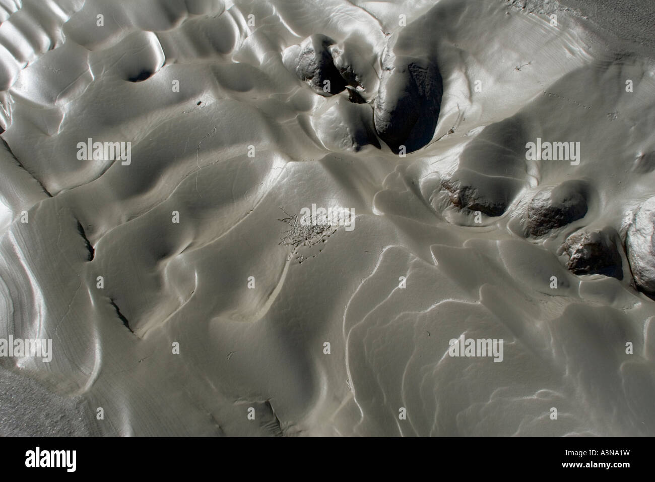 Frog in silted water of glacial mountain river Stock Photo