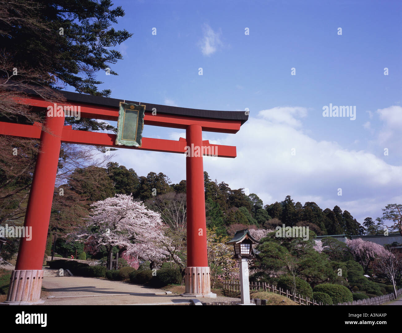 Torii gate in Shiogama shrine Stock Photo - Alamy