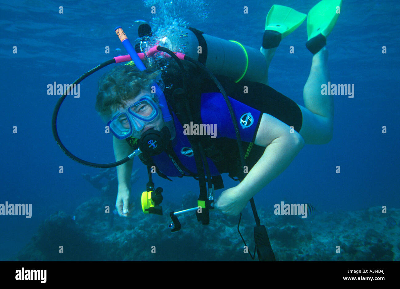 Scuba Diver on Great Barrier Reef, Australia Stock Photo Alamy