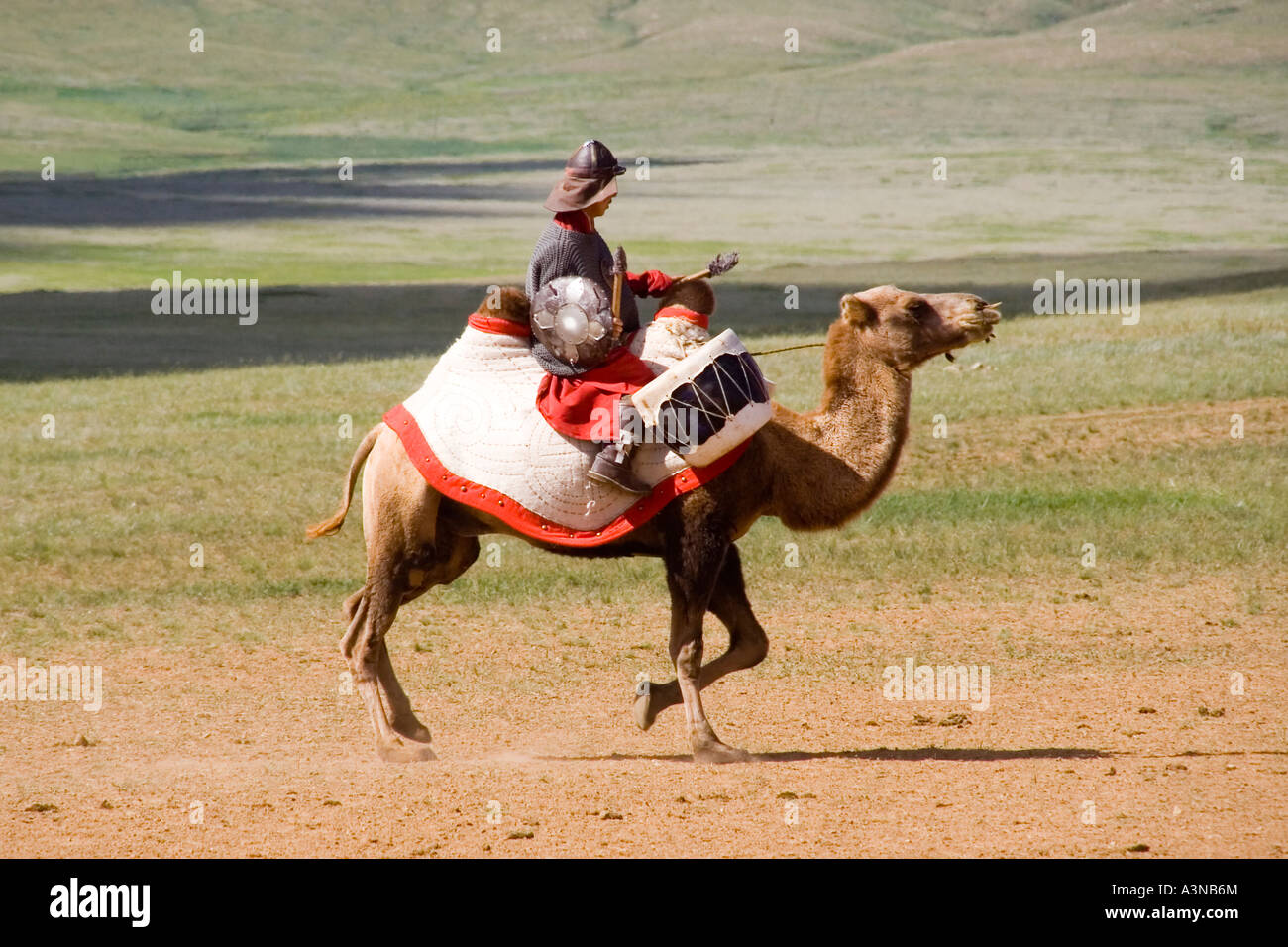 Mongolian soldier with drum riding bactrian camel on to battlefield Stock Photo