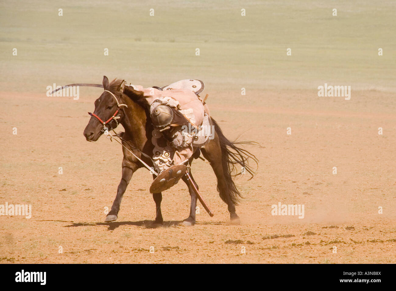 Injured Mongolian horseman clinging to his horse Stock Photo