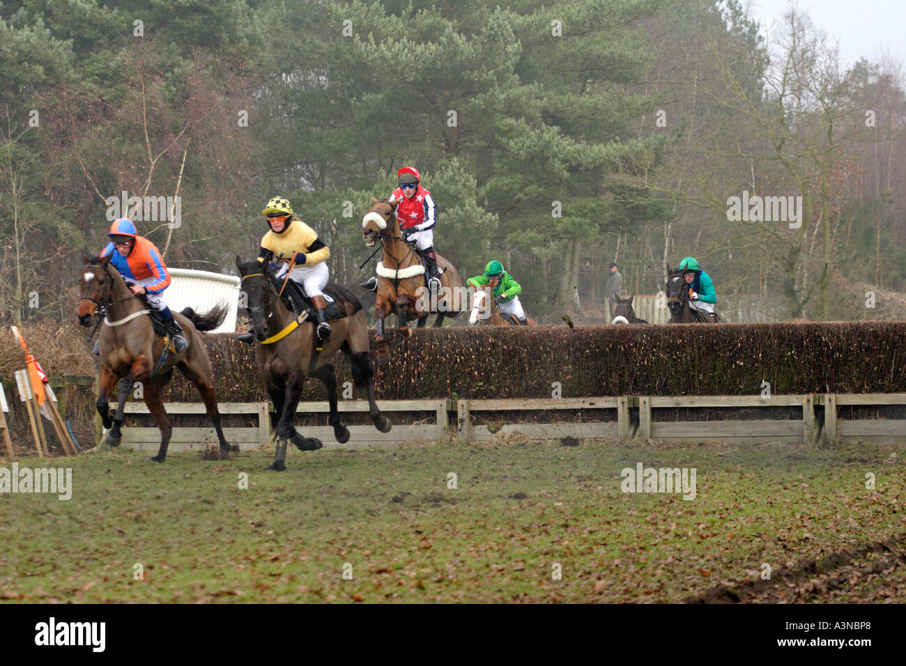 English countryside horse racing Stock Photo - Alamy
