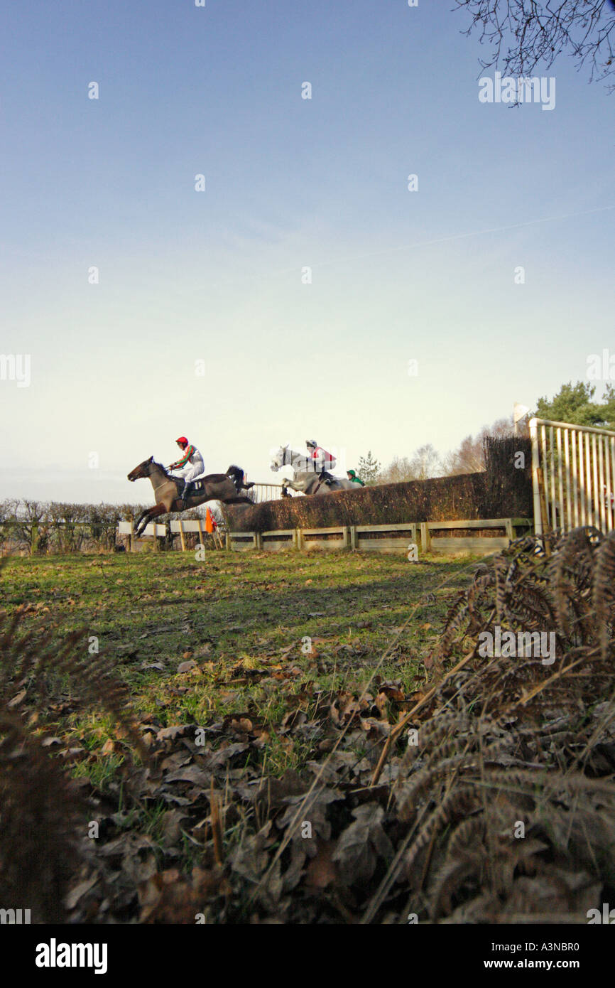 English countryside horse racing Stock Photo - Alamy