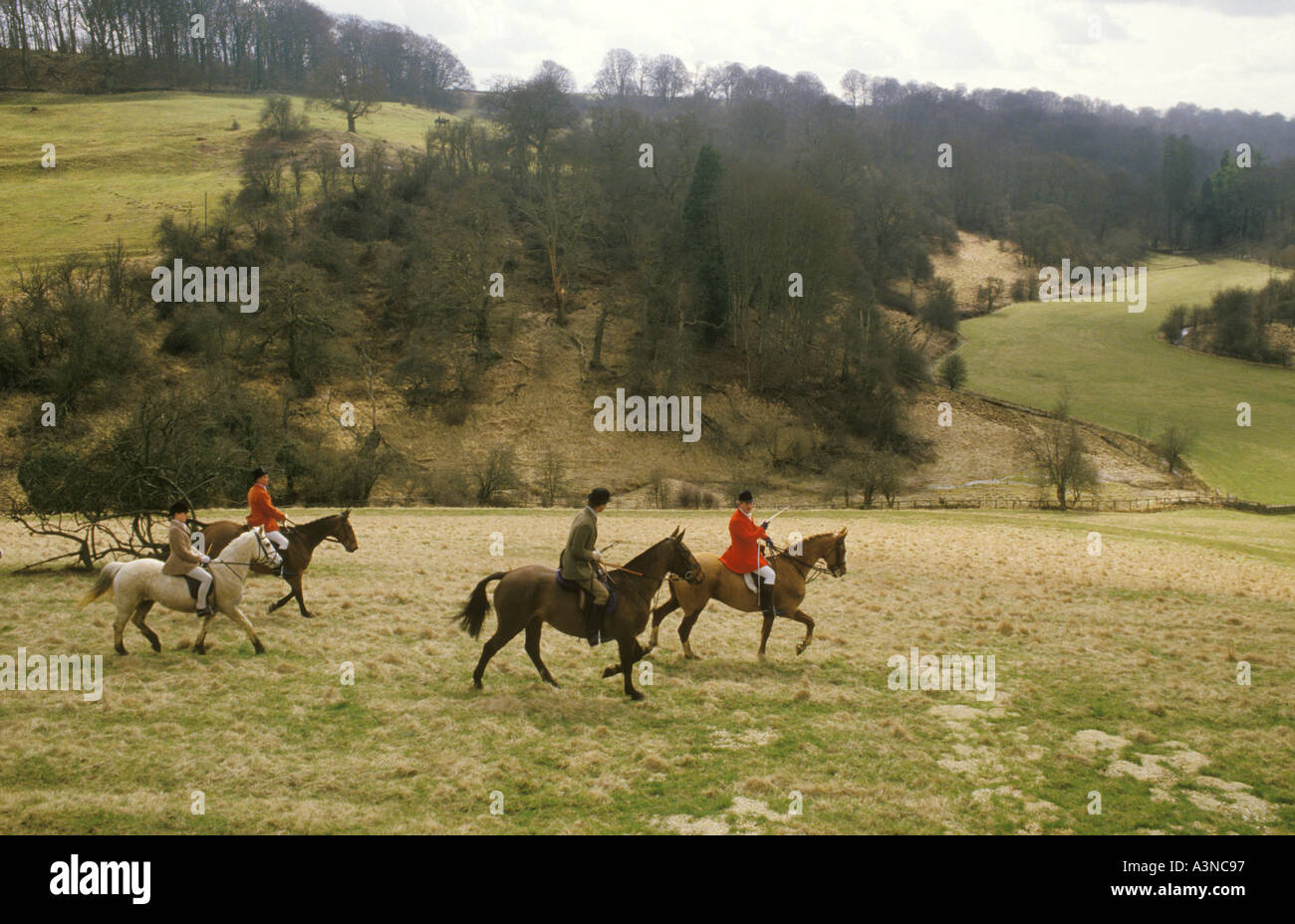 Foxhunting Fox hunting with Hounds The Vale of White Horse an English premier hunt based in Wiltshire 1980s 1985 UK HOMER SYKES Stock Photo