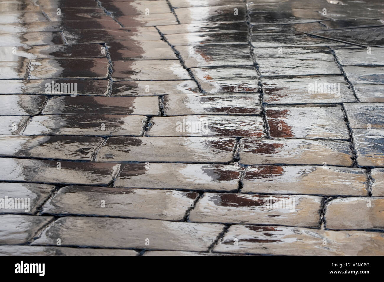 Italian paved road after rain storm Stock Photo Alamy
