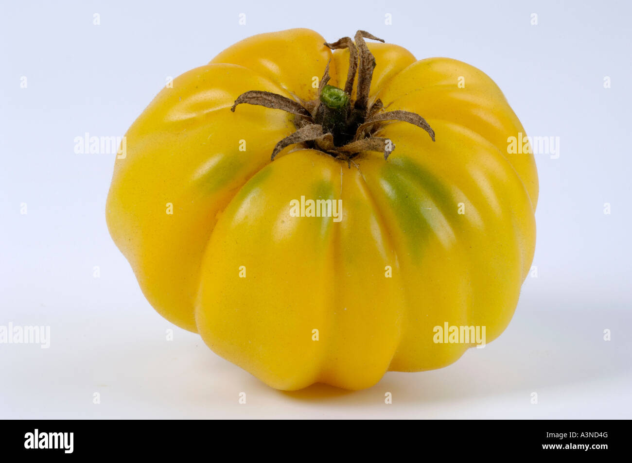 Tomato 'Yellow Ruffled'  Stock Photo