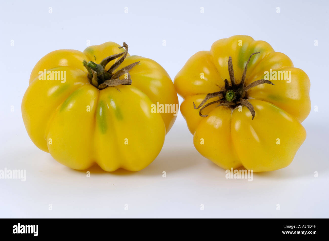 Tomato 'Yellow Ruffled'  Stock Photo
