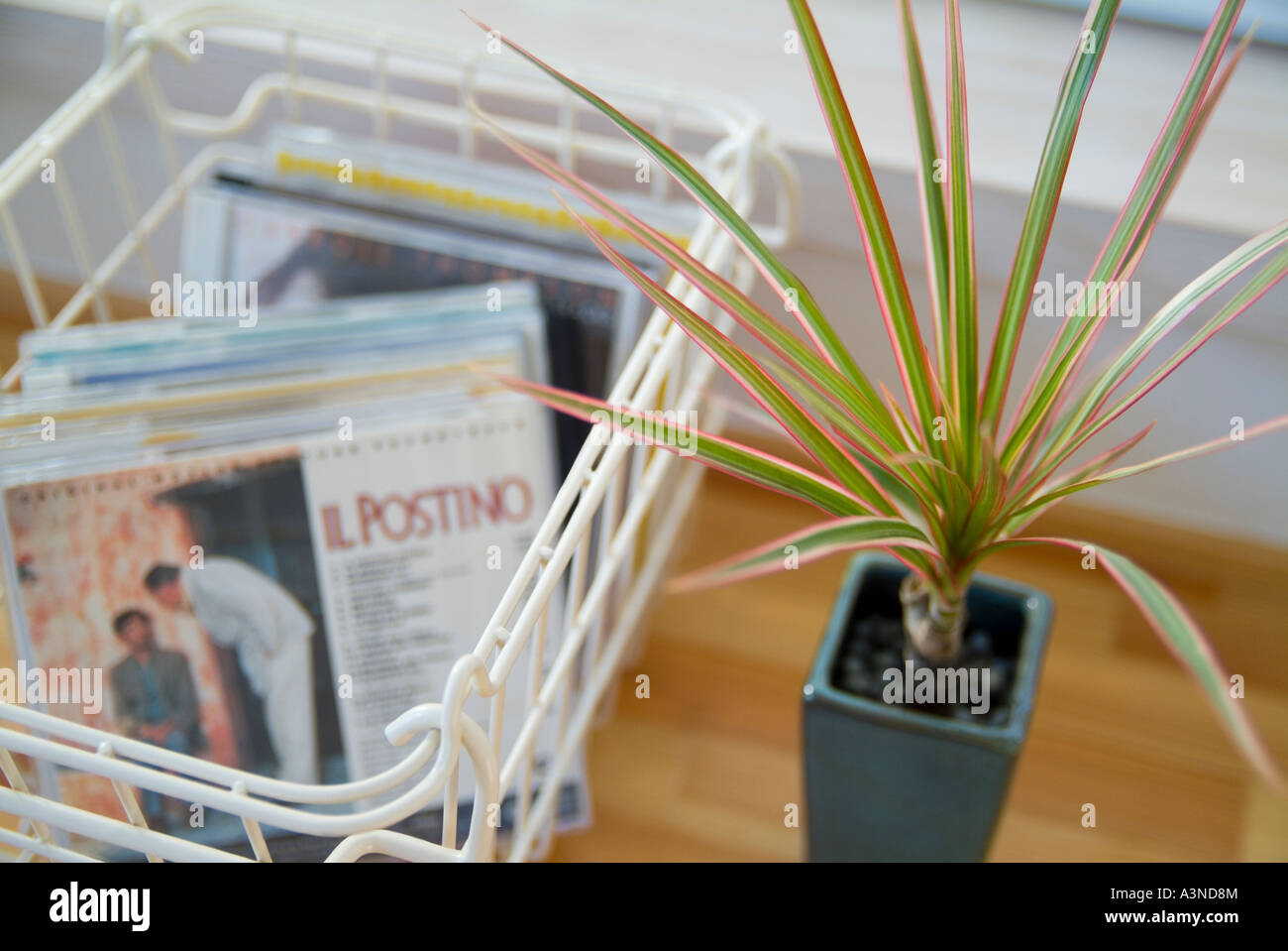 Potted plant and music CDs Stock Photo