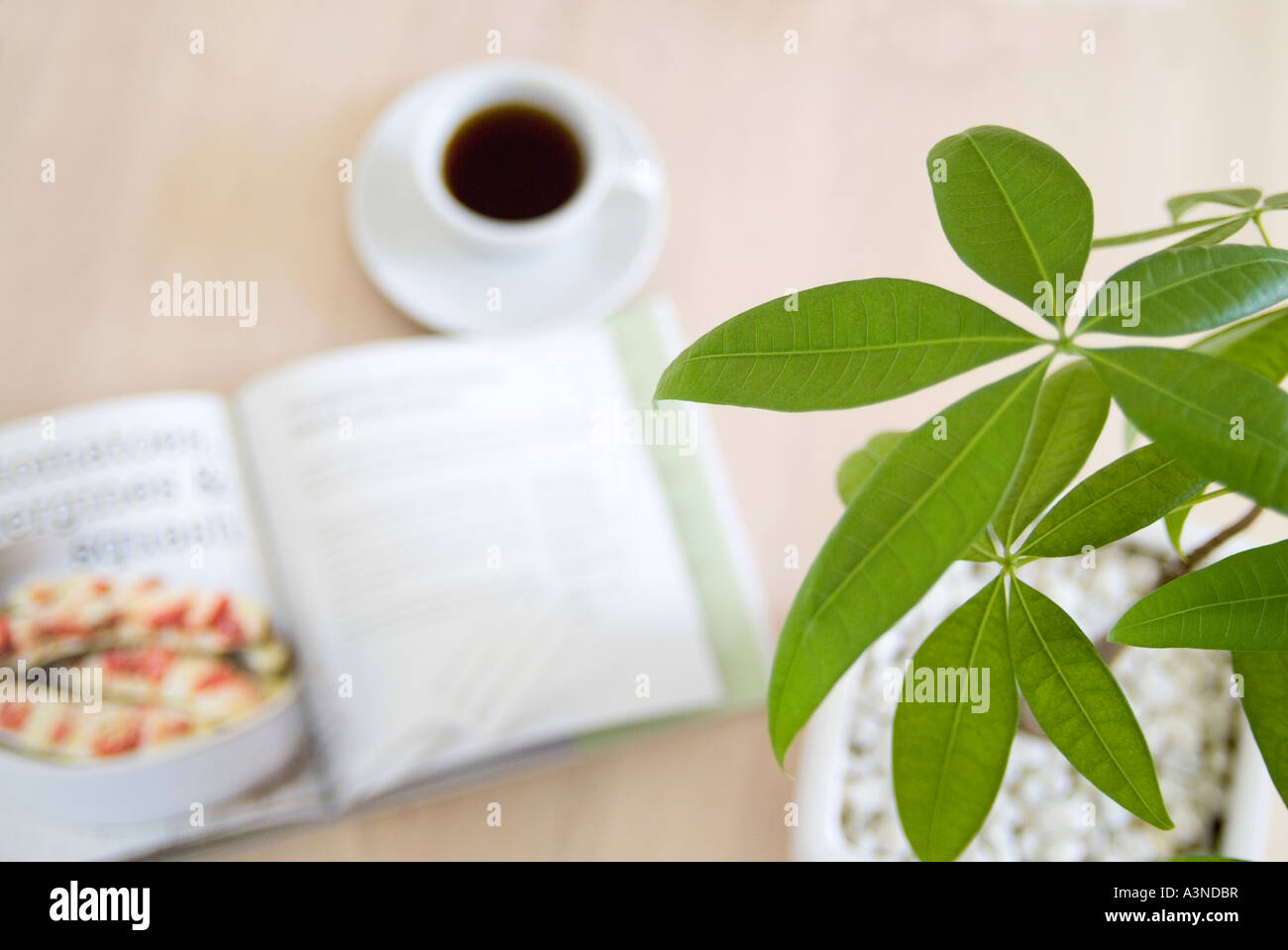 Green leaves with coffee on table in background Stock Photo