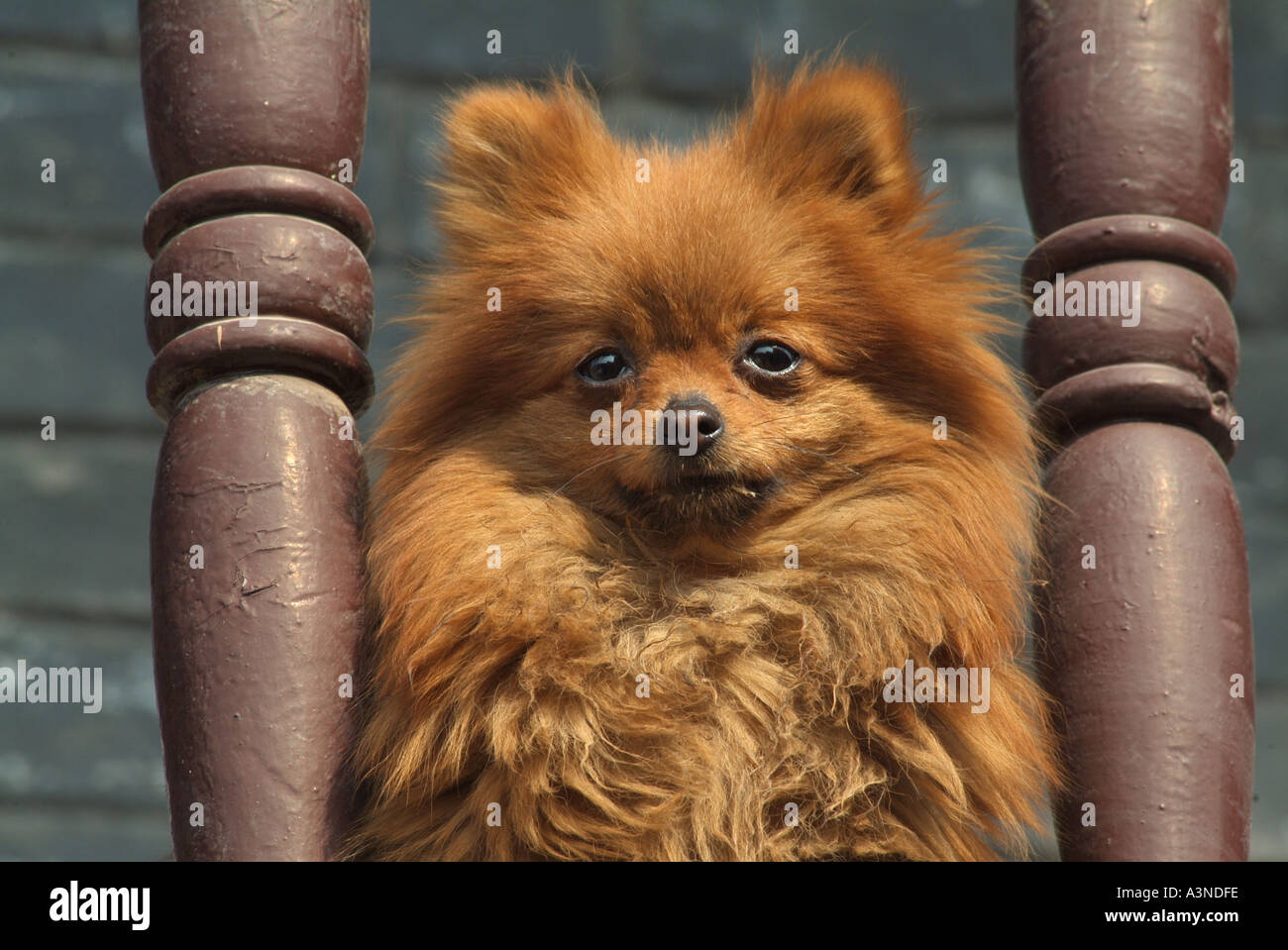 Taining hi-res stock photography and images - Alamy