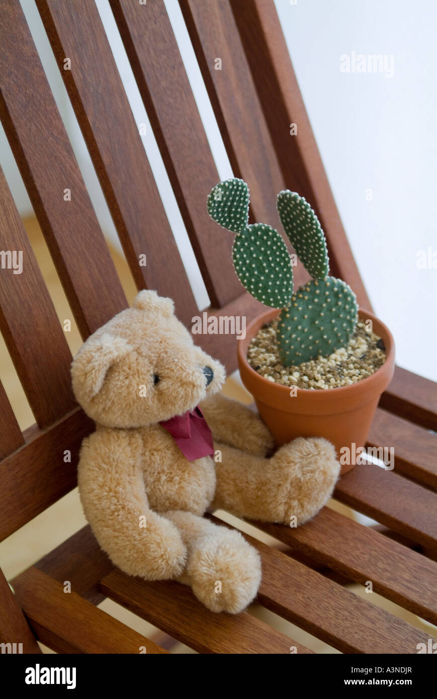 stuffed cactus plant