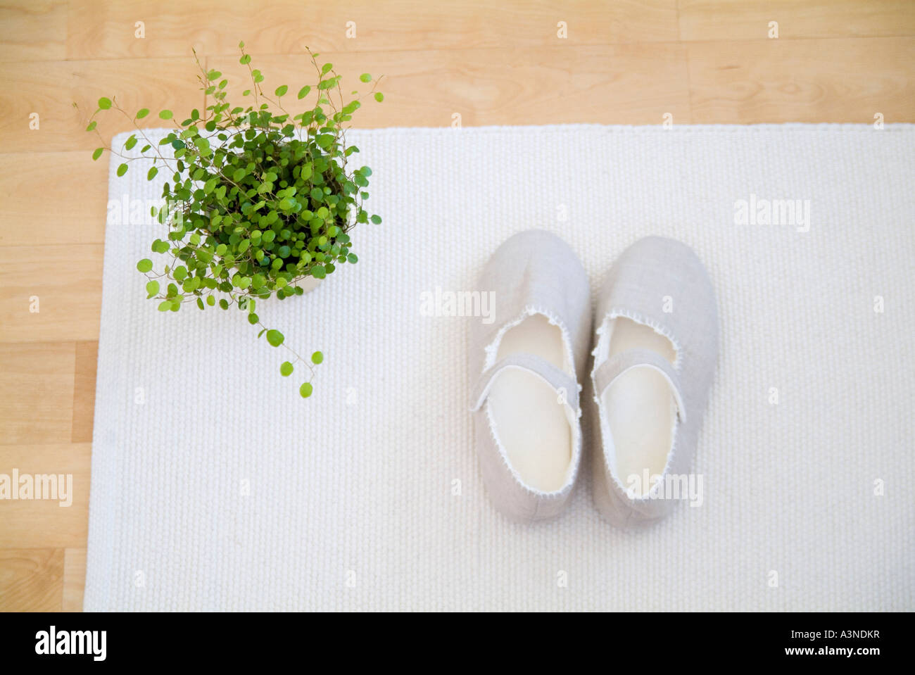 Room shoes on mat Stock Photo