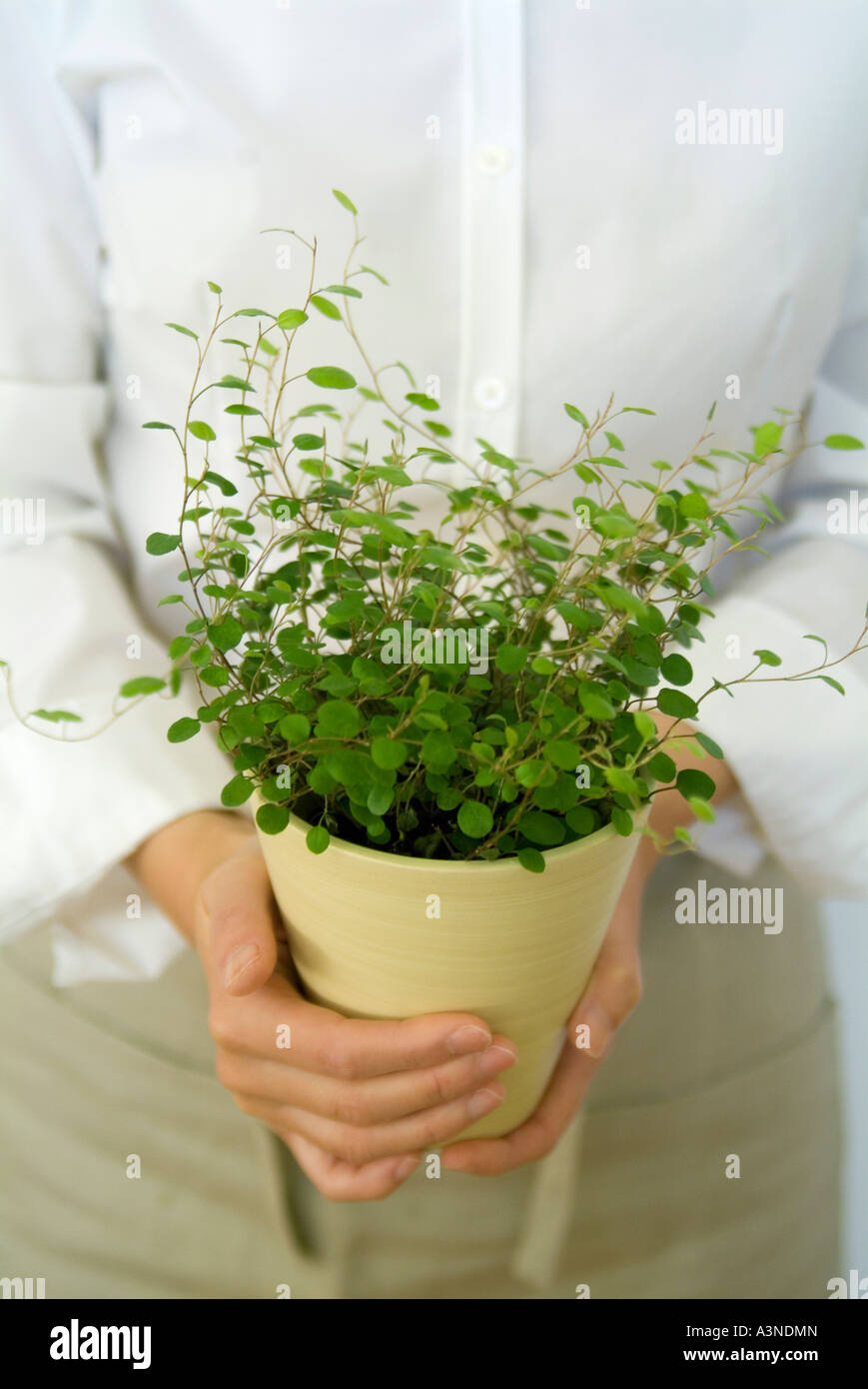 A woman holding a potted plant Stock Photo - Alamy