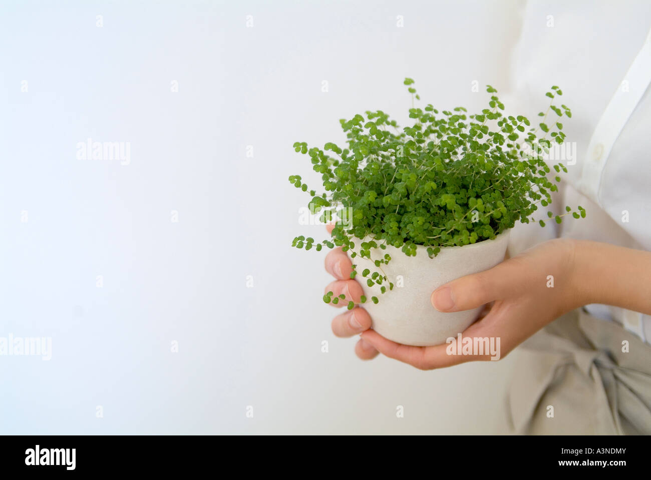 A woman holding a potted plant Stock Photo - Alamy