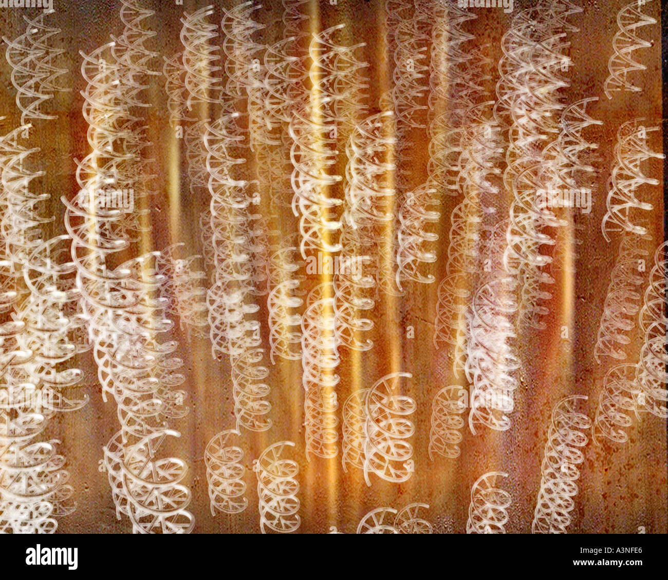 Dna double helix sketch hi-res stock photography and images - Alamy