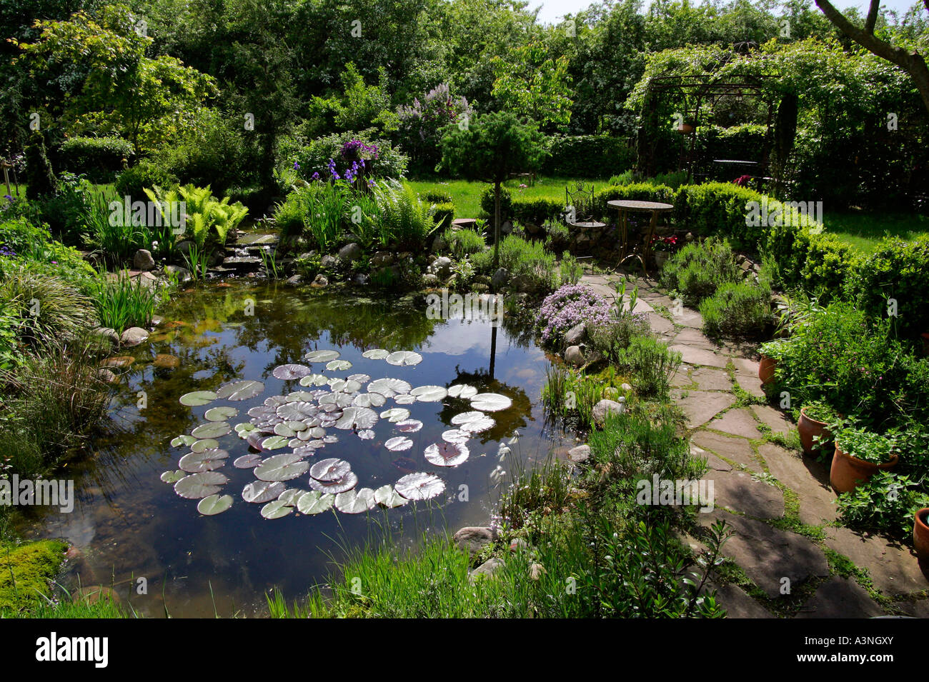 Garden pond  Stock Photo