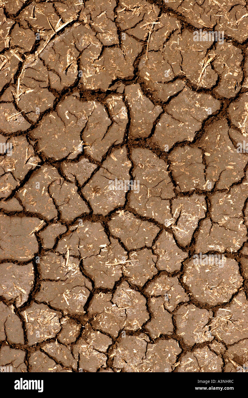 Dry parched and cracked soil Stock Photo