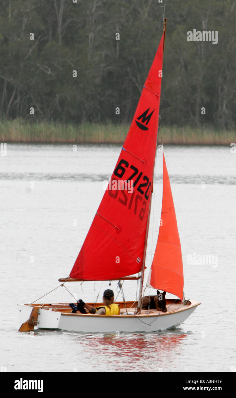 A man sails a Mirror dinghy with his dog as forward hand Stock Photo
