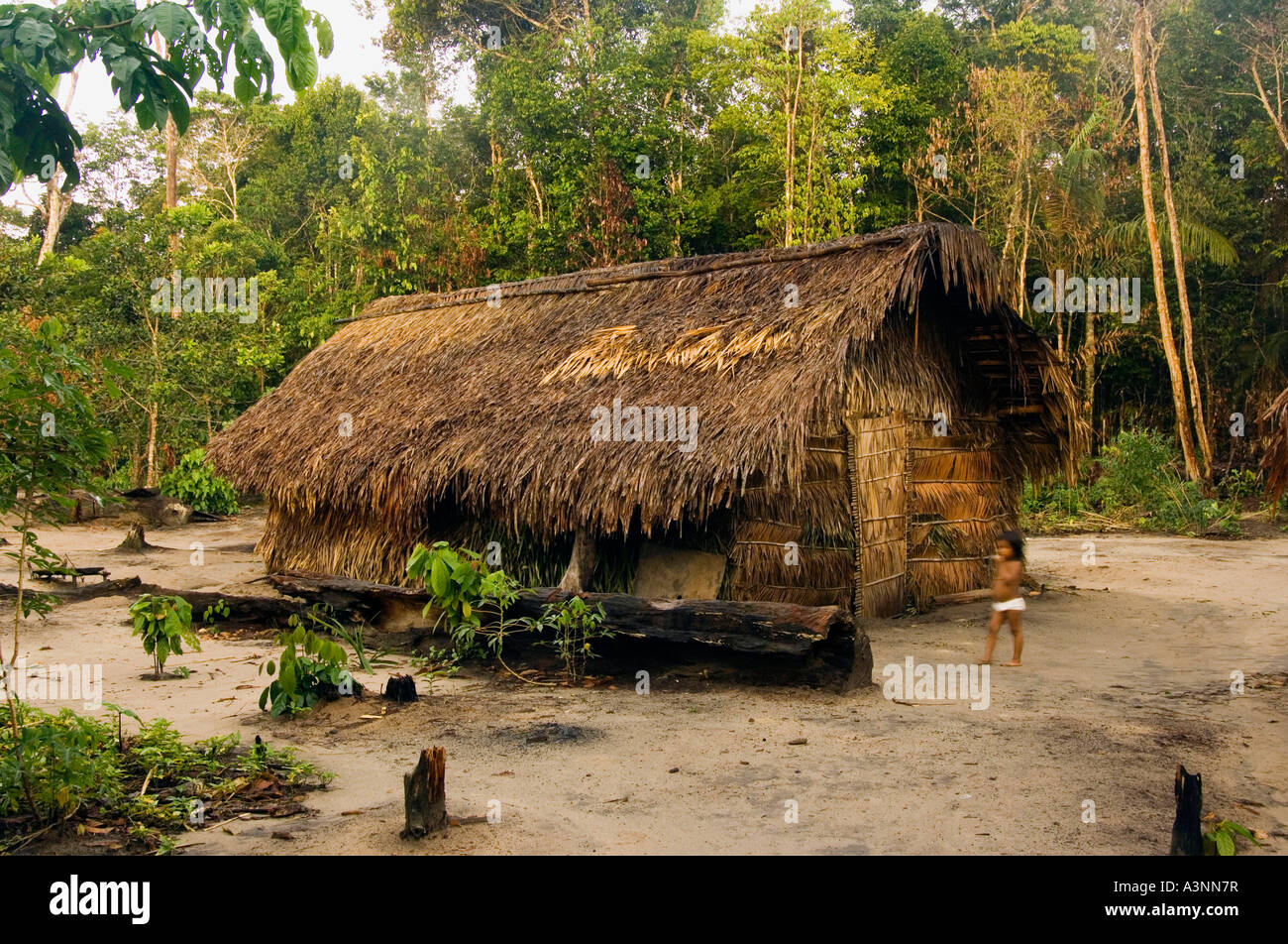 amazon rainforest tribe huts