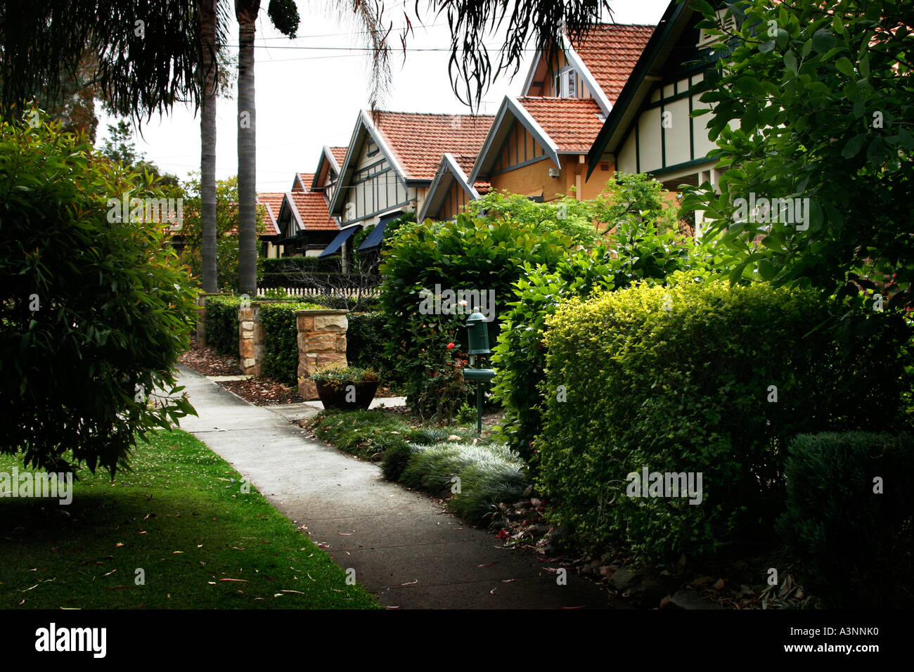 Leafy Northshore Suburb in Sydney Australia Stock Photo Alamy